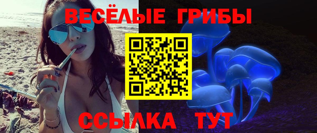 Галлюциногенные грибы Cubensis  Вход с VPN  Анапа 